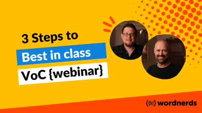 3 Steps to best in class VoC webinar - click to watch